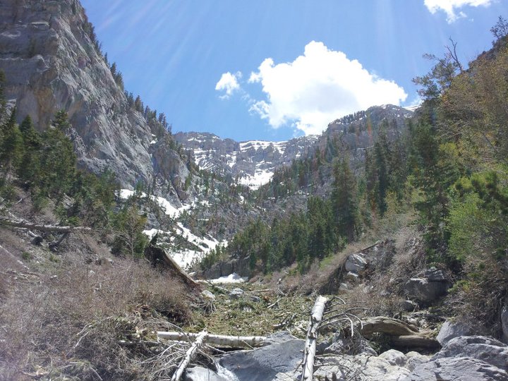 Mt Charleston